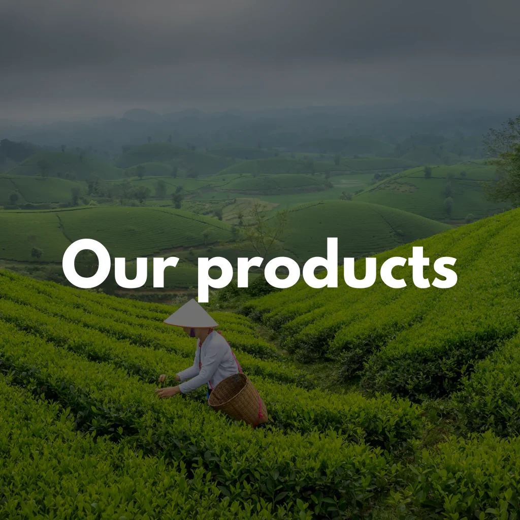 add caption to each picture in gallery elementor