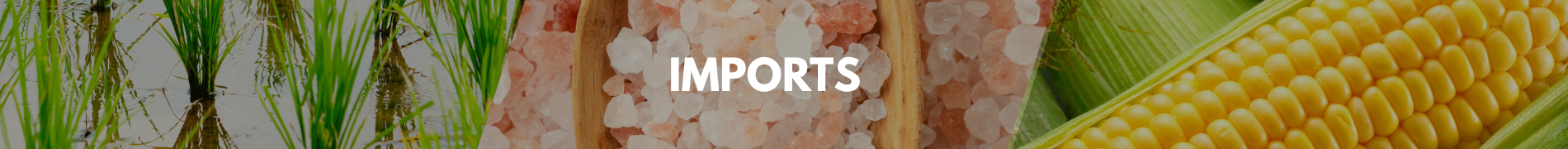 Texperts pakistan imports